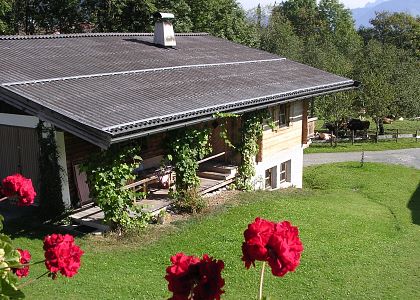 Online Buchen & Verfügbarkeiten prüfen